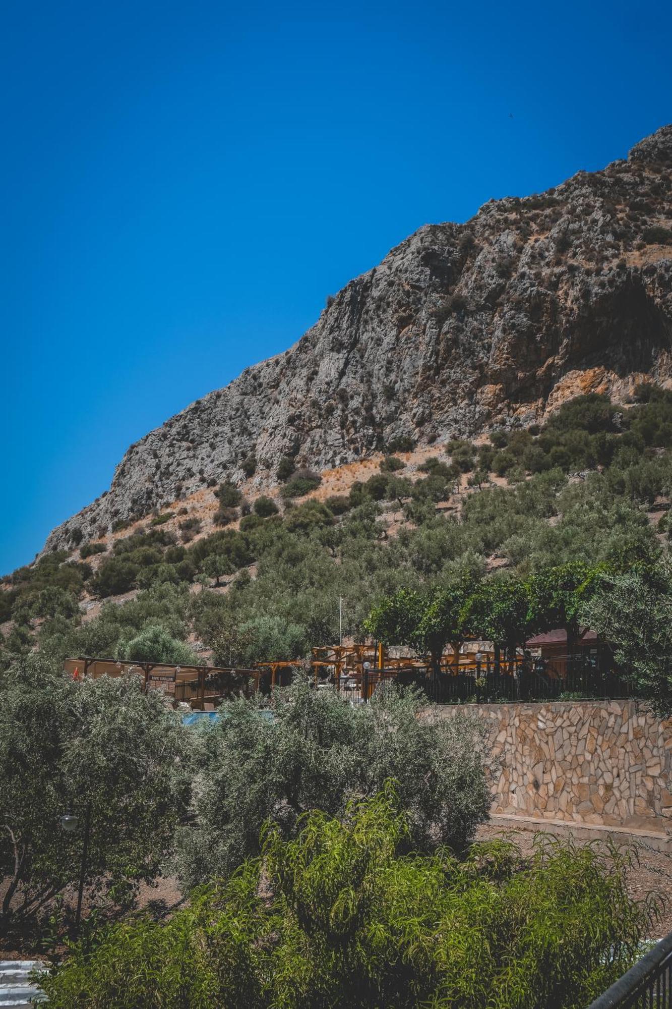 Natureland Efes Pension Селчук Екстериор снимка