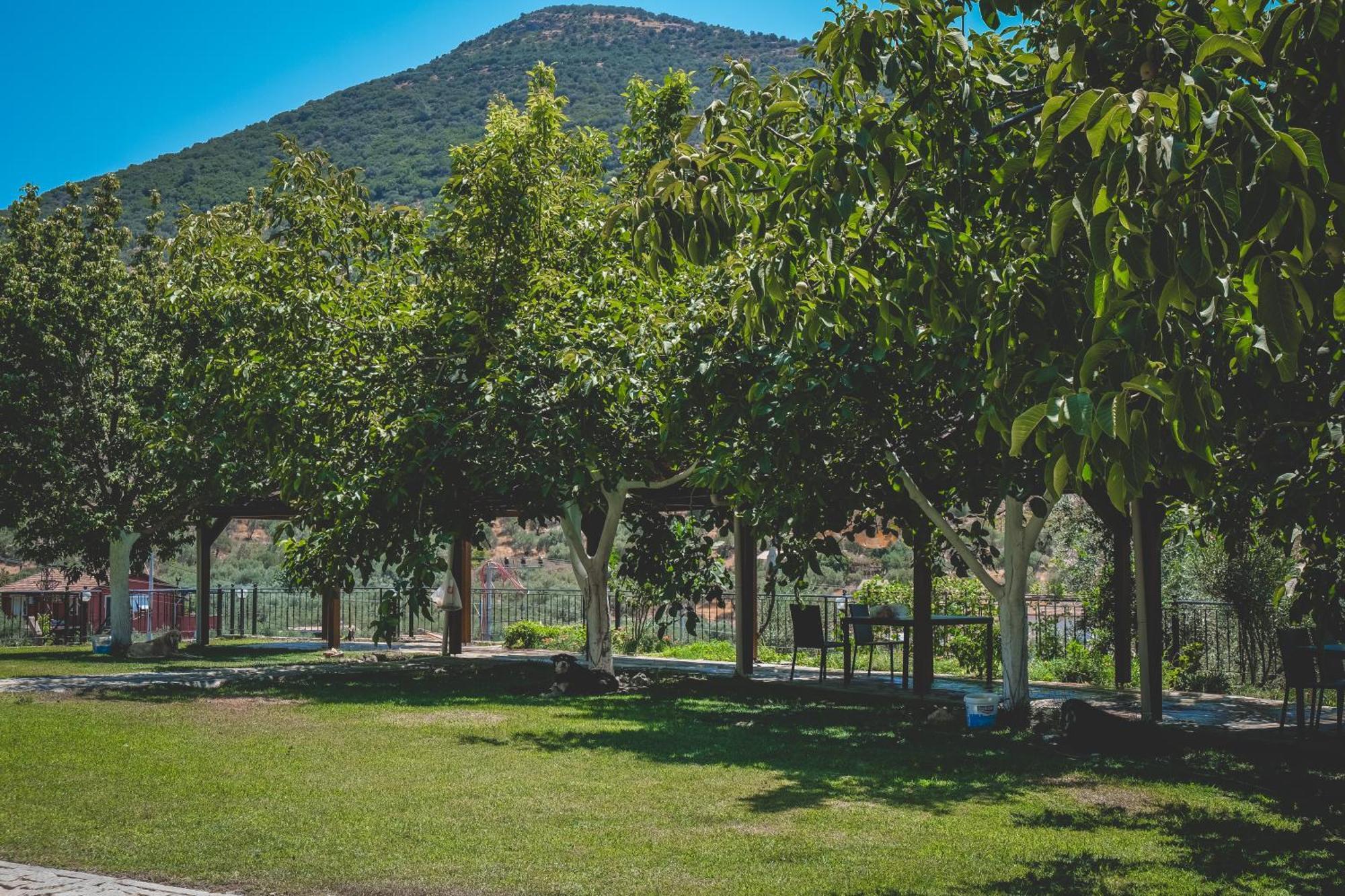 Natureland Efes Pension Селчук Екстериор снимка