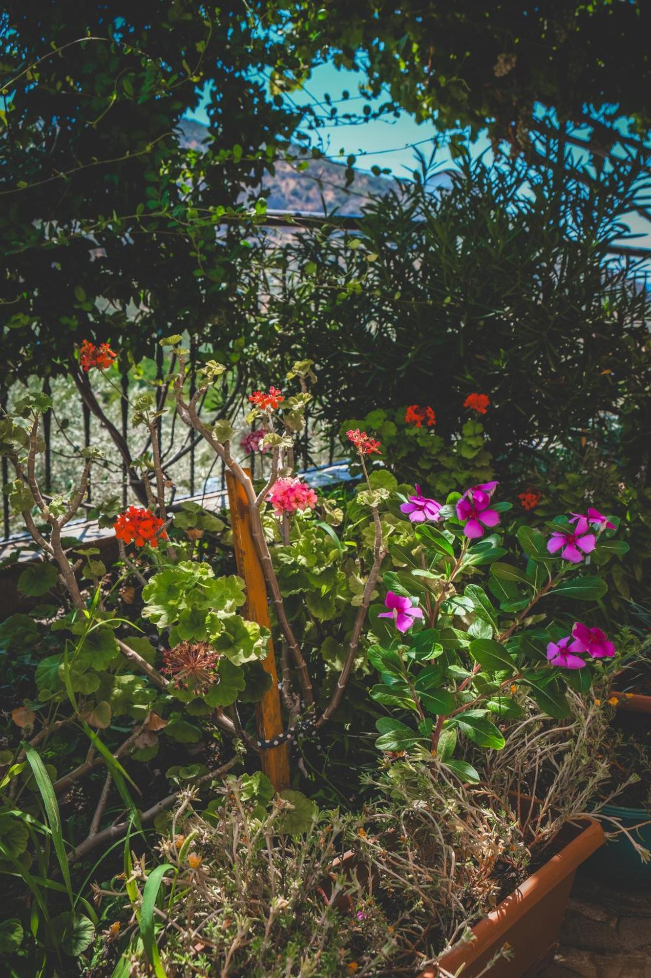 Natureland Efes Pension Селчук Екстериор снимка