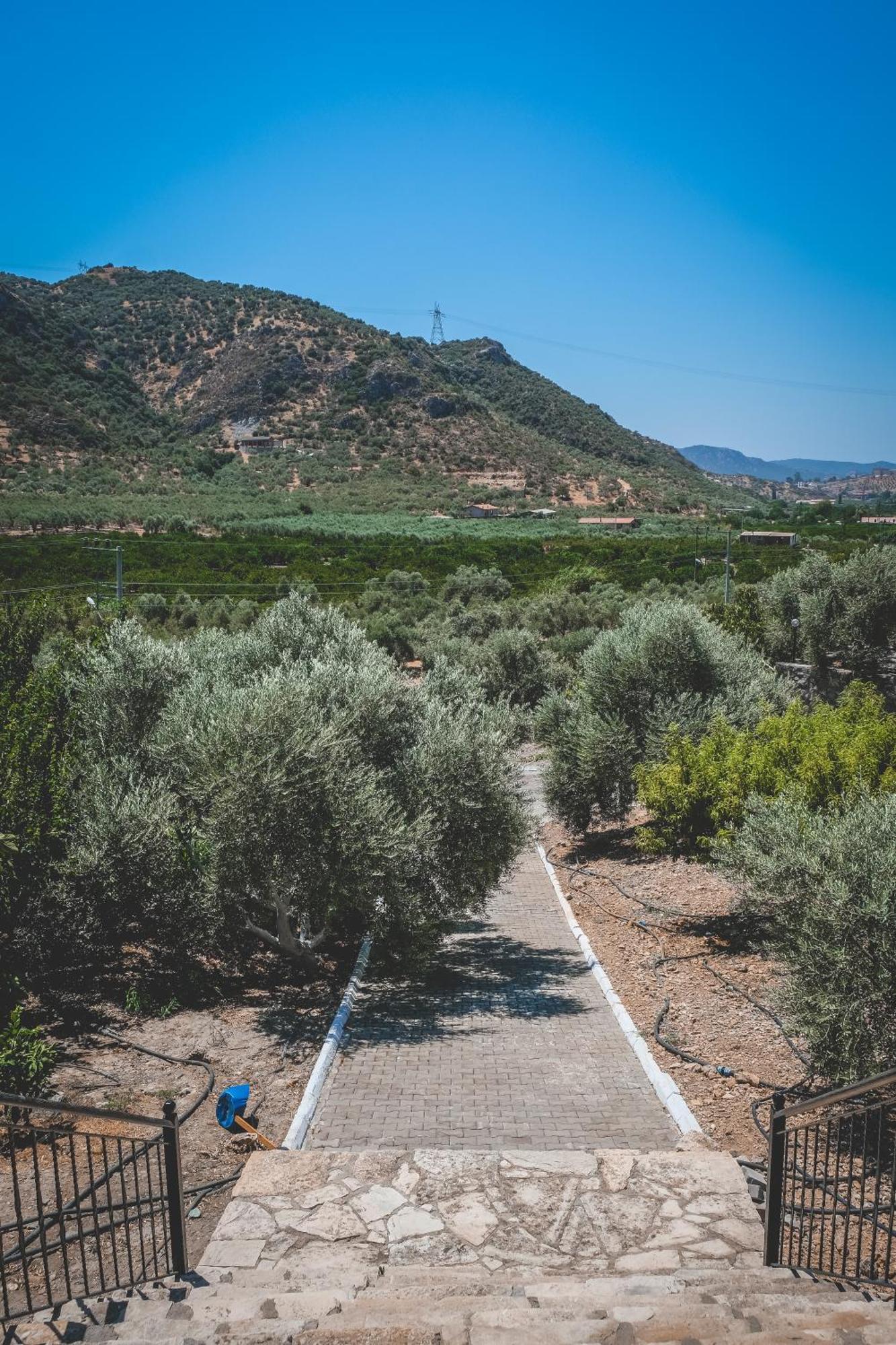 Natureland Efes Pension Селчук Екстериор снимка